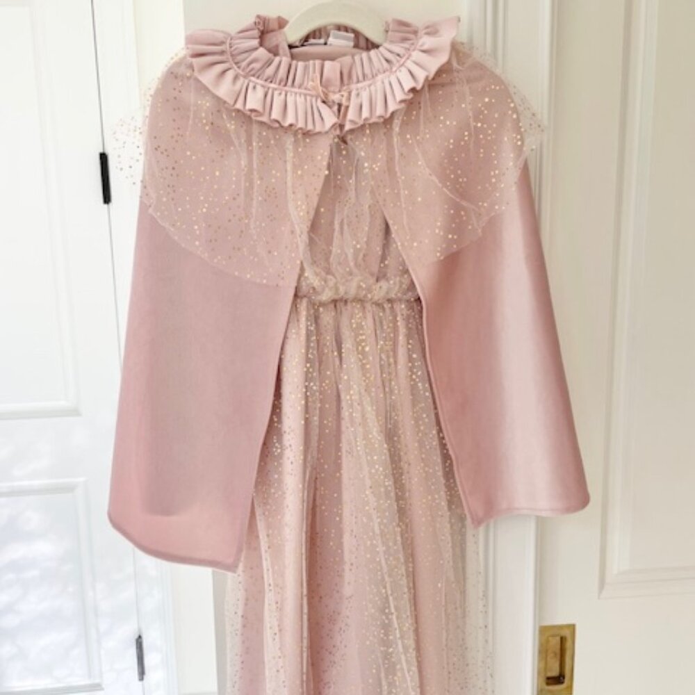 Zara Tulle Princess Costume, SIZE 8-10
